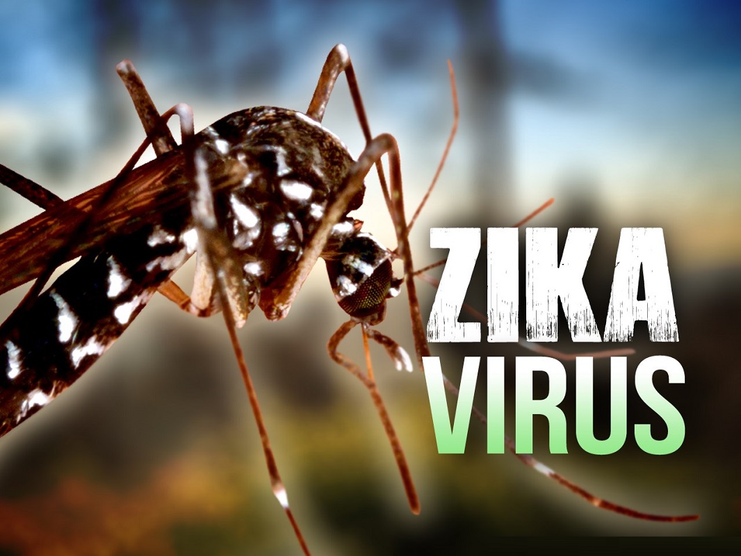 Virus,Zika Virus,Microcephaly,America
