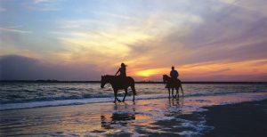 Amelia Islands,Florida,Beach