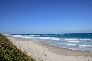 America,Sharks Attack,Beaches, Beaches In US With Most Shark Attacks