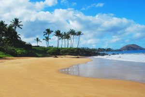 America,Sharks Attack,Beaches, Beaches In US With Most Shark Attacks