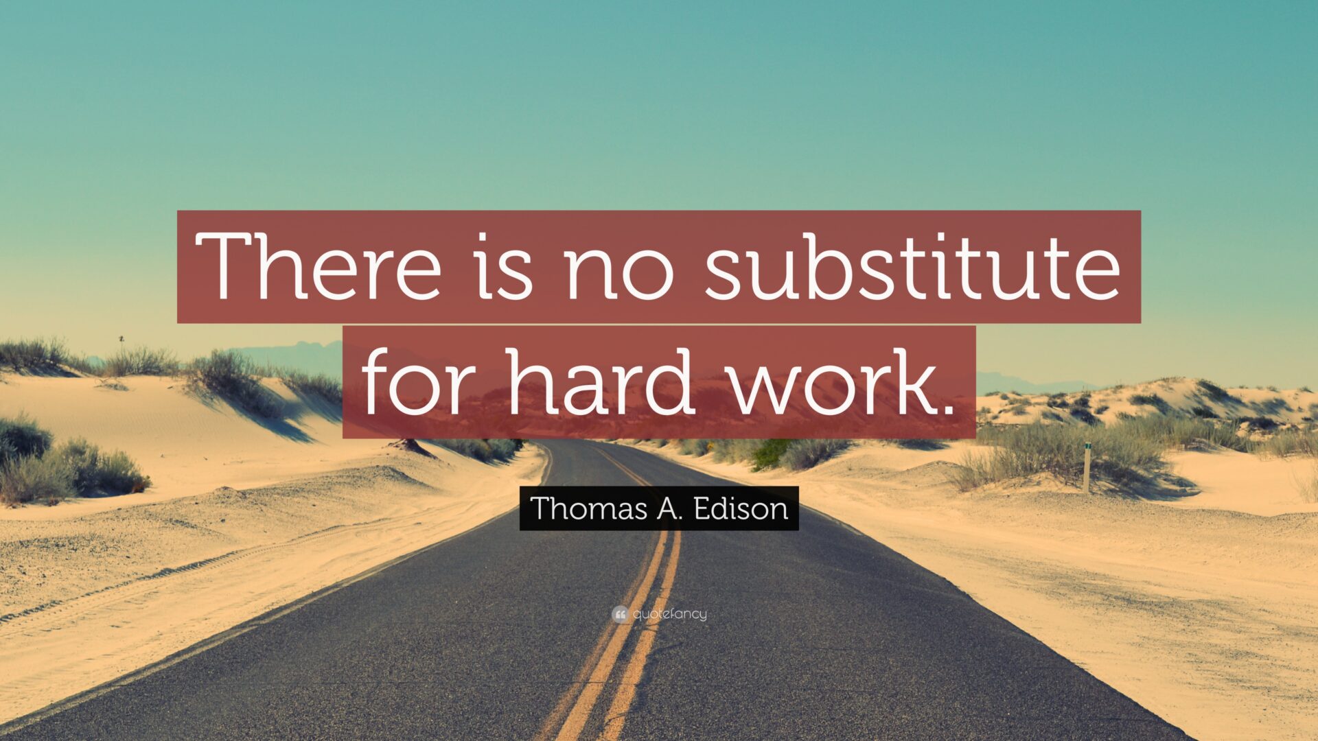 essay on there is no substitute for hard work