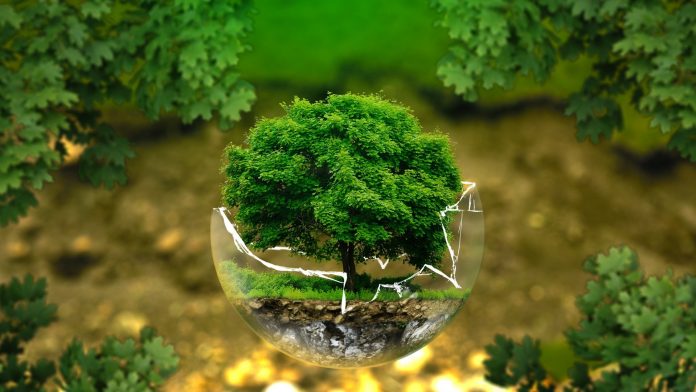 292084-environmental-protection-nature-conservation-ecolo