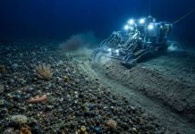 HUMANKIND SHOULD BE CAREFUL NOT TO OVEREXPLOIT NATURAL RESOURCES!